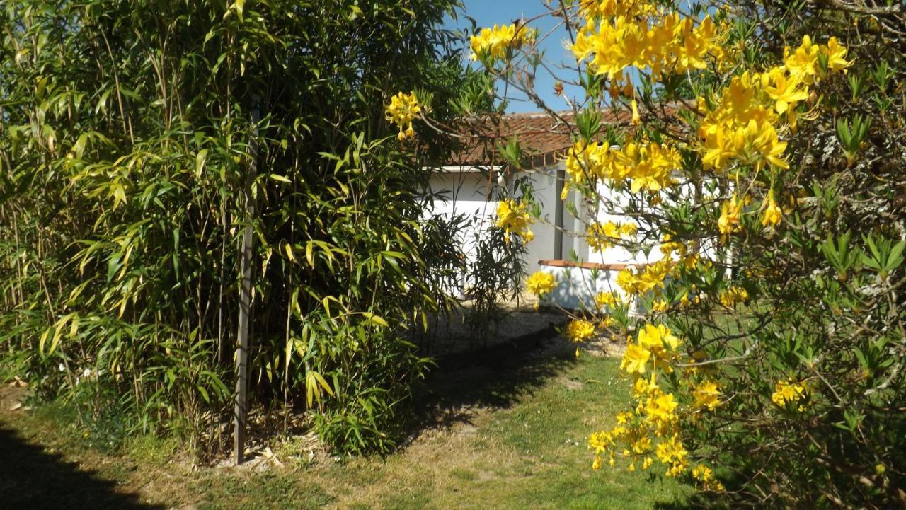 فيلا Breesfalt Gite Accomodation Maisonnais-Sur-Tardoire المظهر الخارجي الصورة